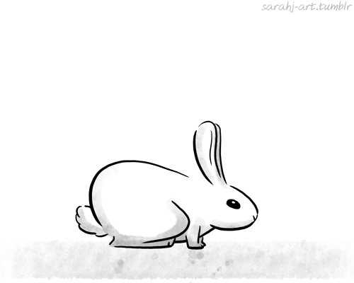 Rabbit